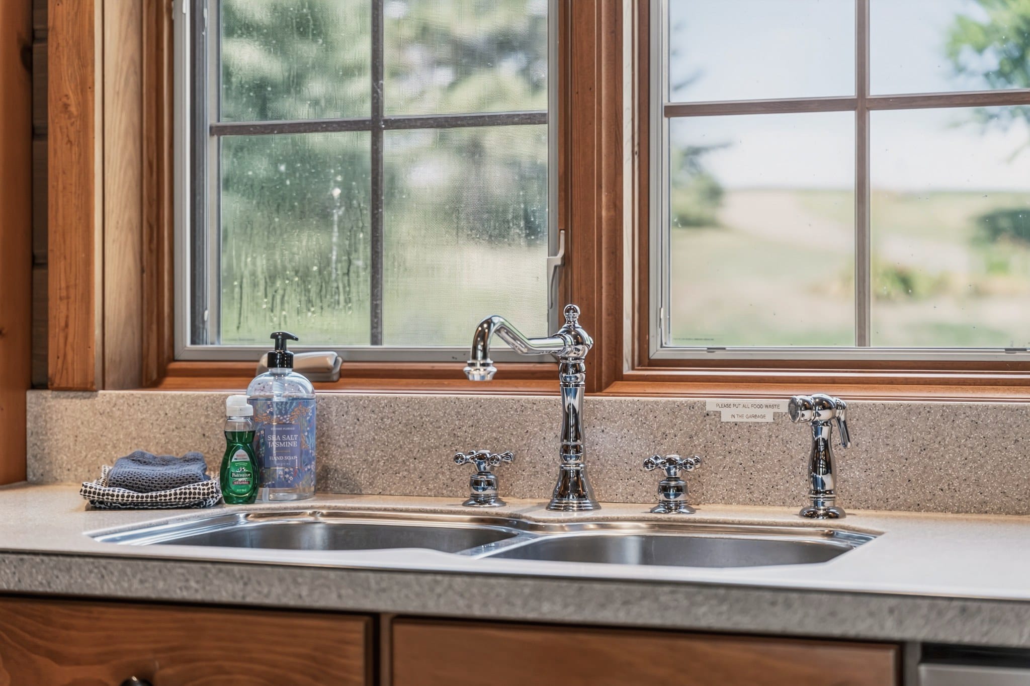 Close view of the kitchen sink: a double stainless basin with a chrome faucet, cross handles and a side sprayer, under windows onto trees and lawn.